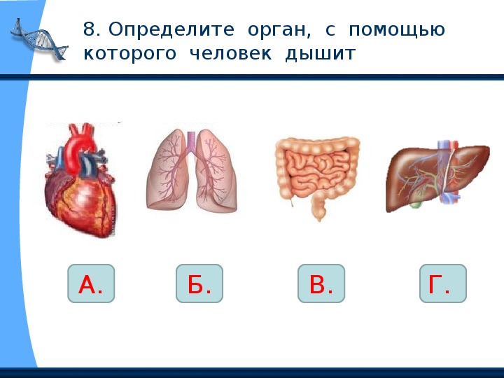 Тех карта организм человека 3 класс