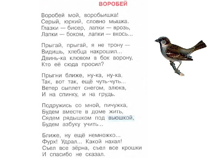 Черные стихи. Саша чёрный стихотворения Воробей стихотворение. Стих Воробей Саша чёрный. Стихотворение Воробей Саша черный. Саша чёрный стихи о животных.