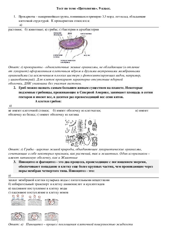 Контрольная клетка 9 класс