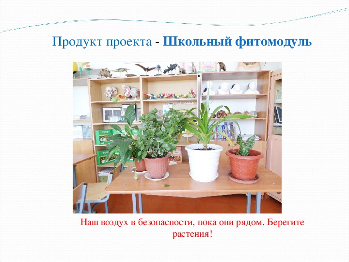 Влияние растений на экологию школьной среды 9 класс