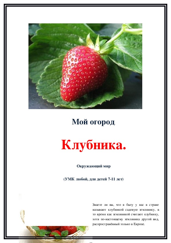 Обложка для материала Конспект урока "Мой огород. Клубника"