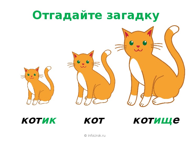 Загадка на рисунке три подружки и кот мурзик чей кот
