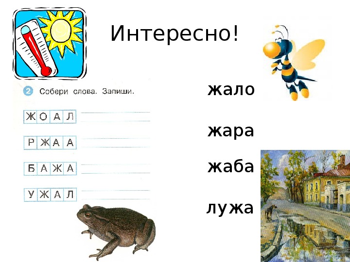 Есть города на букву ж. Презентация буква ж. Характеристика буквы ж. Качества на букву ж. Буква ж презентация 1 класс.