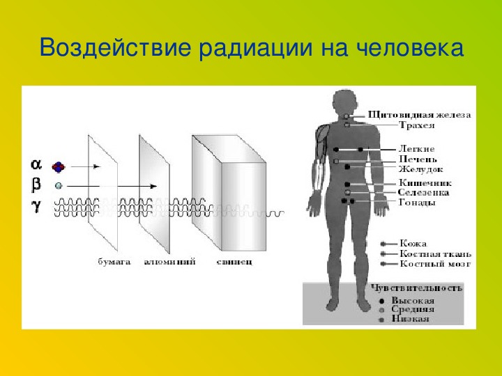Биология человека подвергается предложение 1. Воздействие радиационного излучения на организм человека. Влияние излучения на человека. Люди с радиоактивным излучением. Влияние радиоактивного излучения на человека.