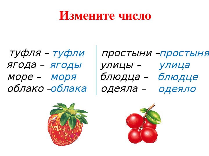 Единственное и множественное число имен существительных 2 класс школа россии презентация