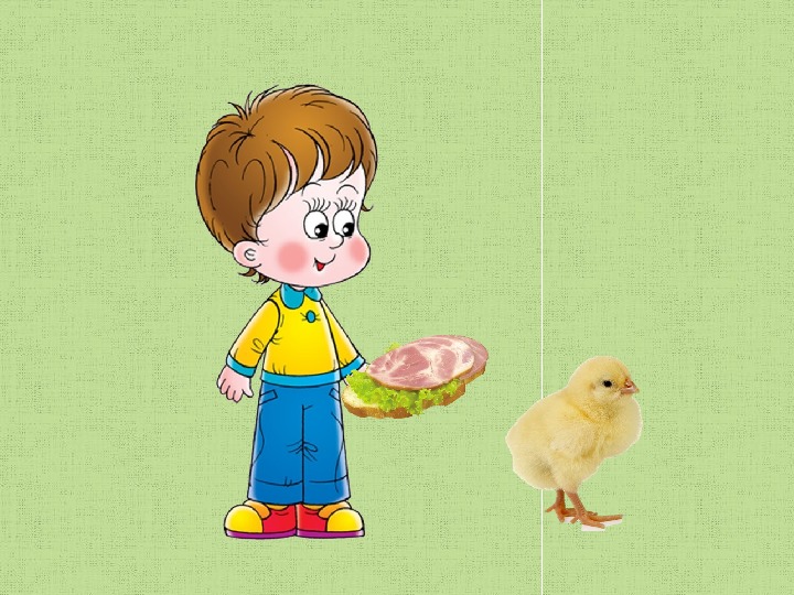 Картина дети кормят цыплят. Цыпленок мальчик. Мальчик кормит цыплят. Игра Покорми цыпленка. Рассматривание сюжетной картины «дети кормят курицу и цыплят».
