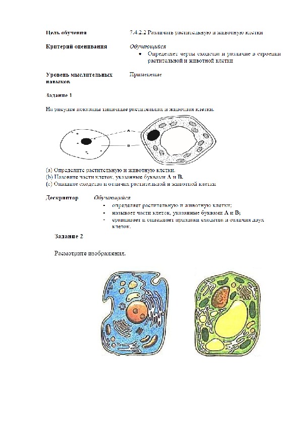 Конспект клетка 9 класс