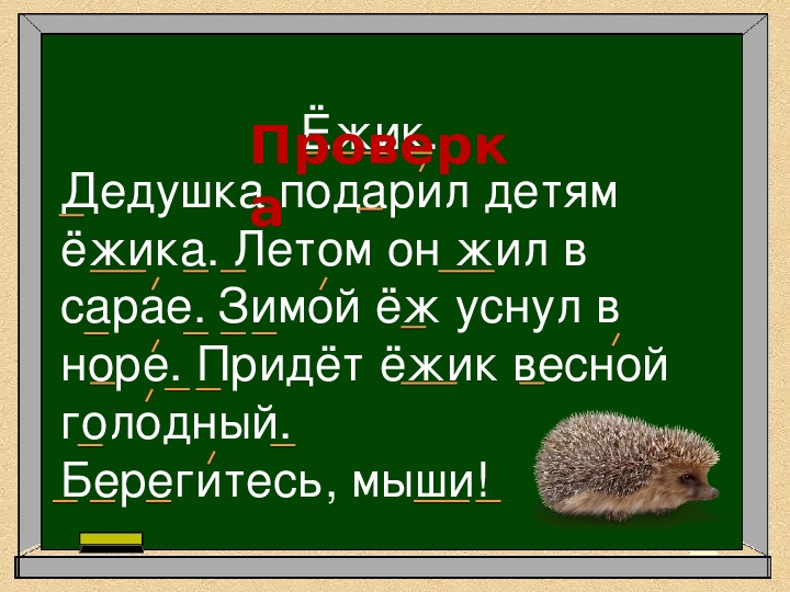 Еж разбор. Дедушка подарил детям ежика. Текст про ежика. Предложение про ежика. Предложение о еже 1 класс.