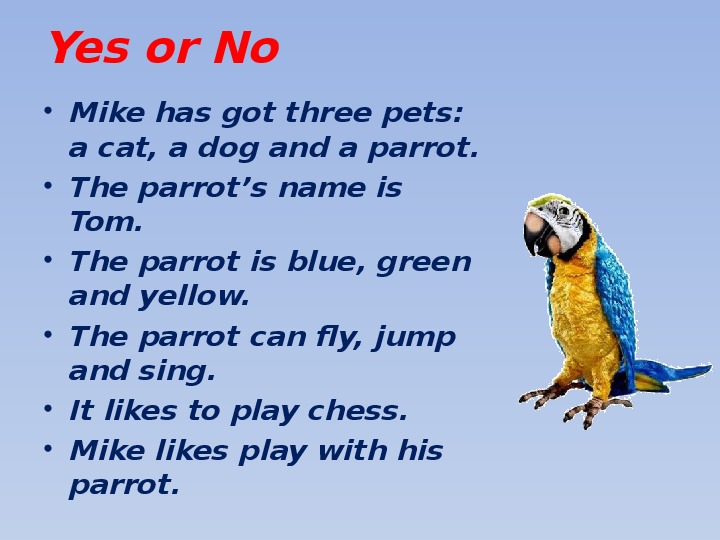 Попугай по английскому. Загадка по английски про попугая. Вопросительные предложения с have got и has got в английском языке.