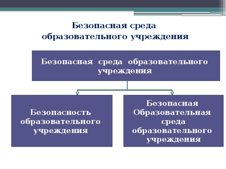 Безопасность образовательной среды. Безопасная образовательная среда.