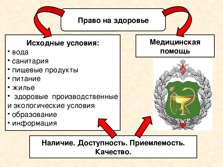 Социальные права 9 класс презентация