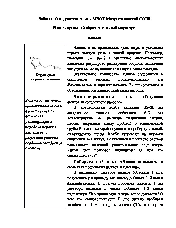 Обложка для материала Индивидуальный образовательный маршрут. Амины
