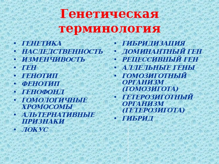 Генетика термины