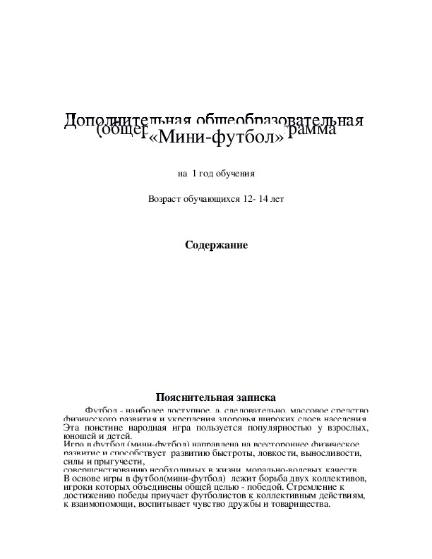 Обложка для материала Дополнительная общеобразовательная  (общеразвивающая) программа «Мини-футбол»
