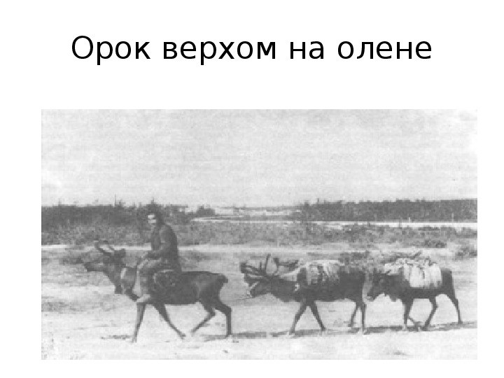 Как переводится народность ороки. Ороки (ульта). Ороки народ. Ороки ульта народ. Ороки место обитания.