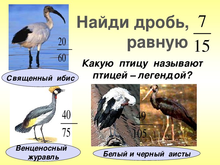 Чем журавль отличается. Какую птицу называют птицей легендой. Аист цапля и журавль отличия. Журавль и Аист разница. Цапля и журавль отличия.