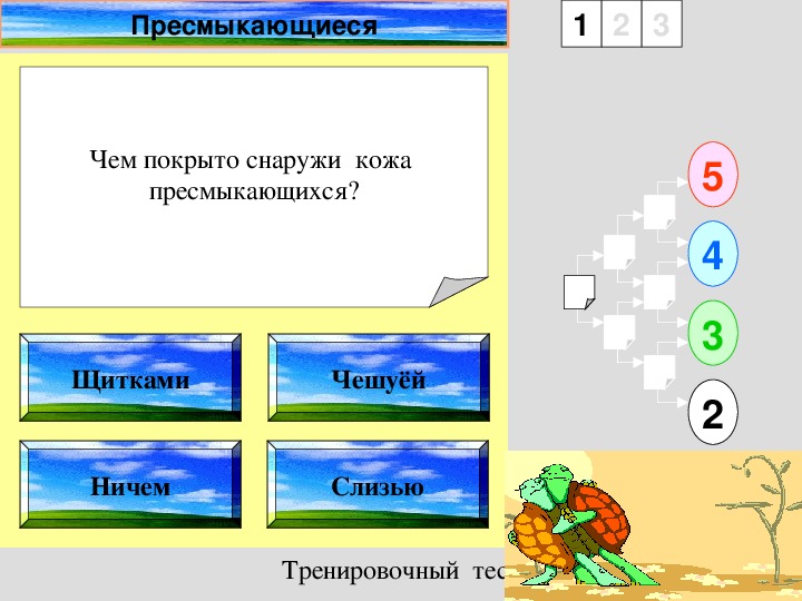 Тест по теме пресмыкающиеся 8 класс. Тест по теме пресмыкающиеся. Вопросы для теста по теме пресмыкающиеся. Тест по теме пресмыкающиеся 7 класс биология с ответами. Тест по биологии на тему пресмыкающиеся ОГЭ.