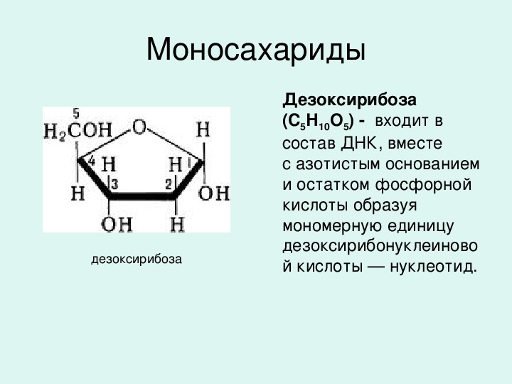 Углевод днк