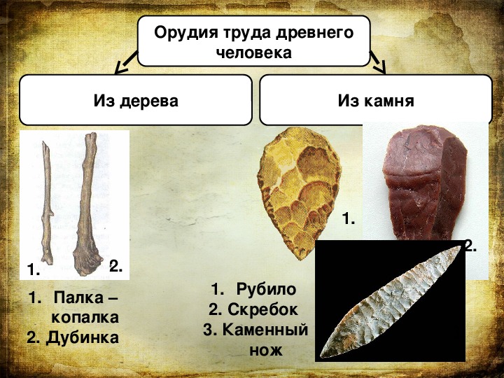 Составьте схему эволюции орудий труда