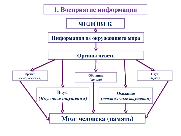 Представление информации презентация информатика