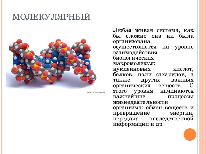 Молекулярный уровень живой природы