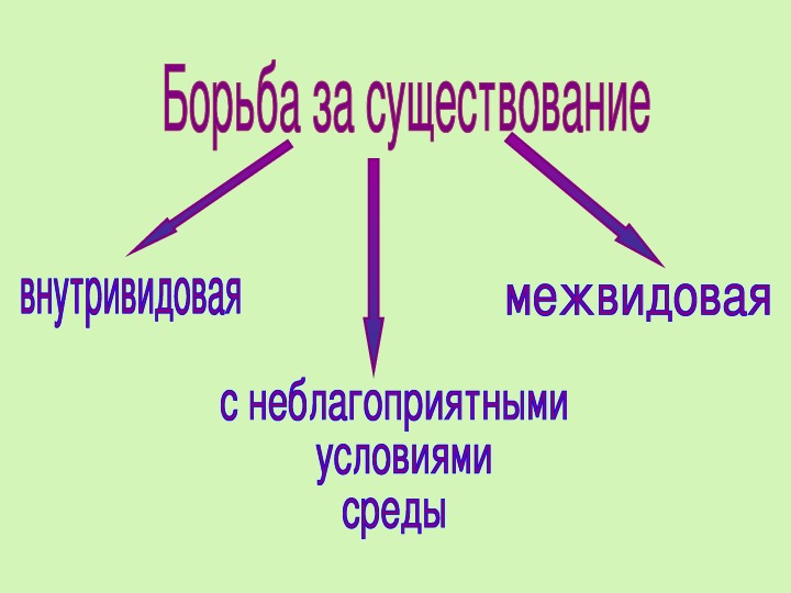 Существование совокупность