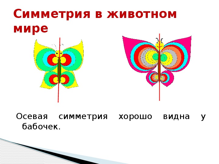 Презентация симметрия 8 класс презентация