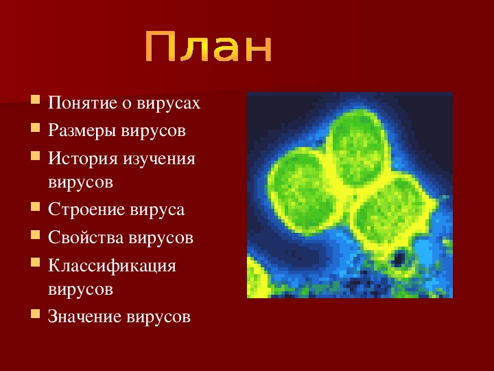 Презентация по биологии 6 класс вирусы