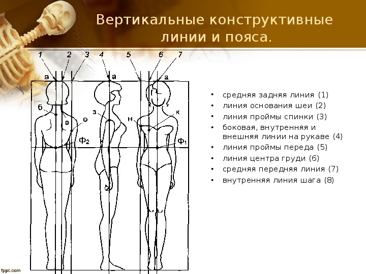 Схема структура антропометрии