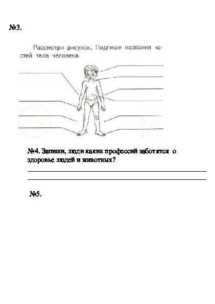 Проверочная работа по теме человек