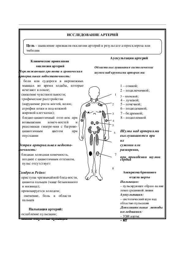 ИССЛЕДОВАНИЕ АРТЕРИЙ