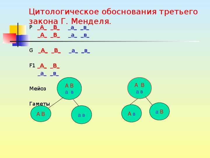 Законы менделя презентация 10 класс профильный уровень