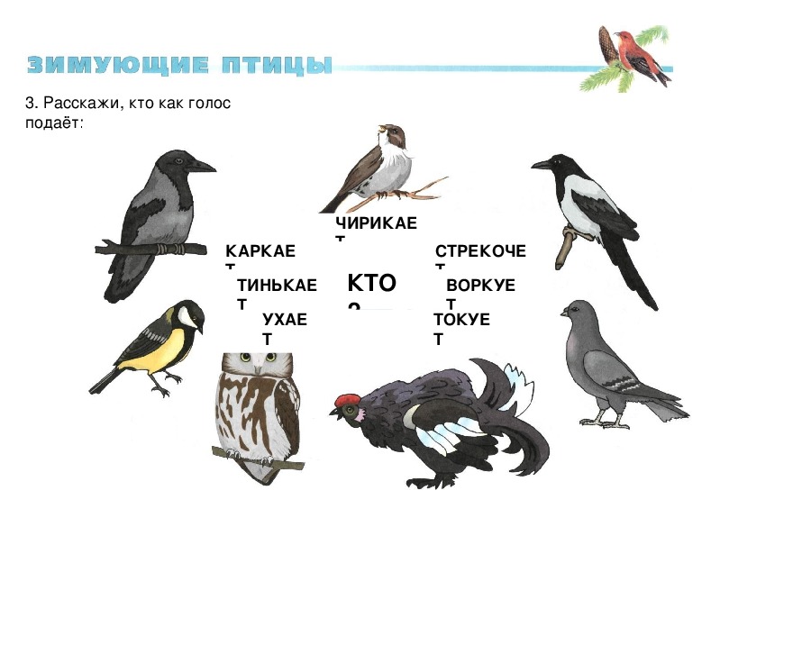 Технологическая карта 1 класс где зимуют птицы 1 класс