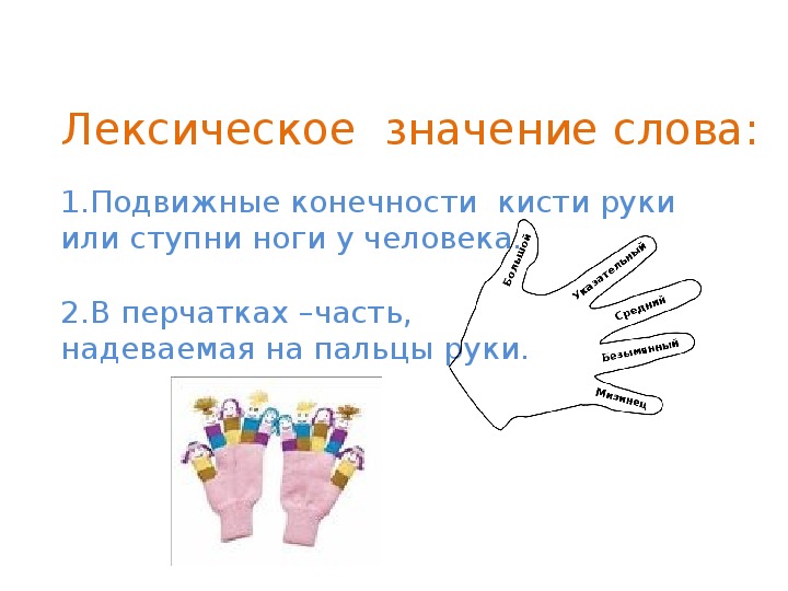 Лексическое значение слова клены