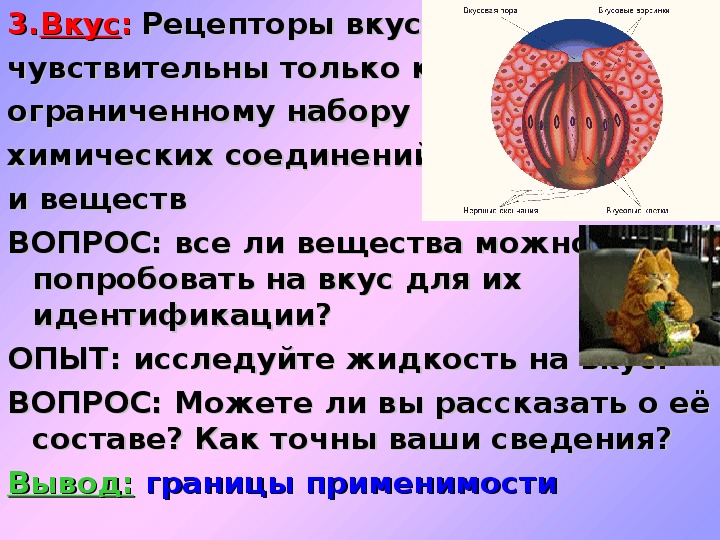 Зарождение и развитие научных взглядов о строении вещества презентация