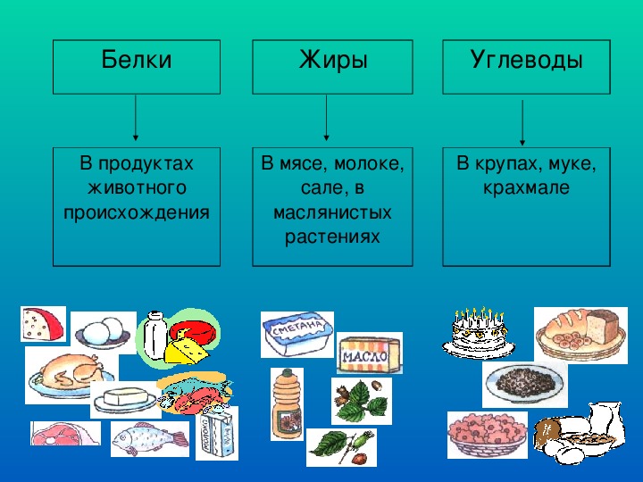 Сообщение о правильном питании 2 класс