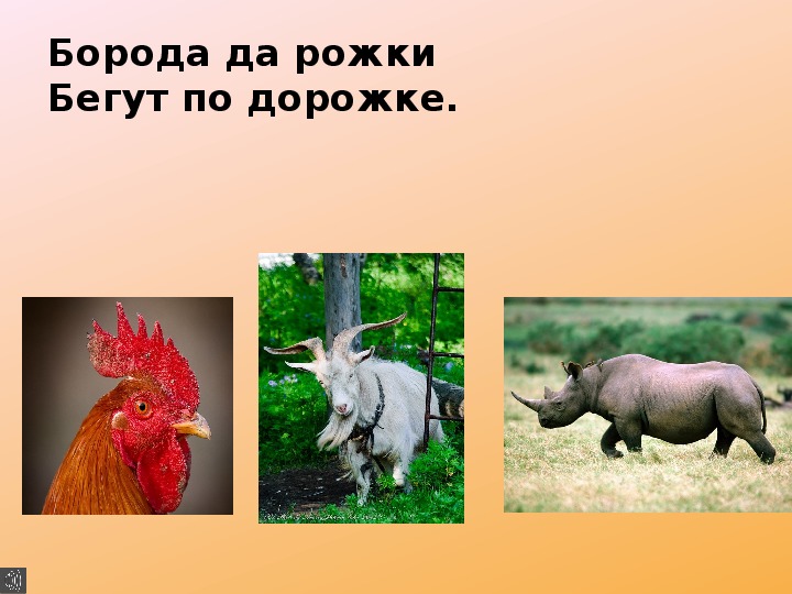 Презентация по удмуртскому языку на тему "Домашние животные - пудоос"