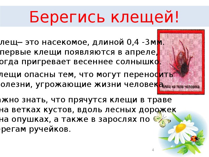 Презентация поведение летом