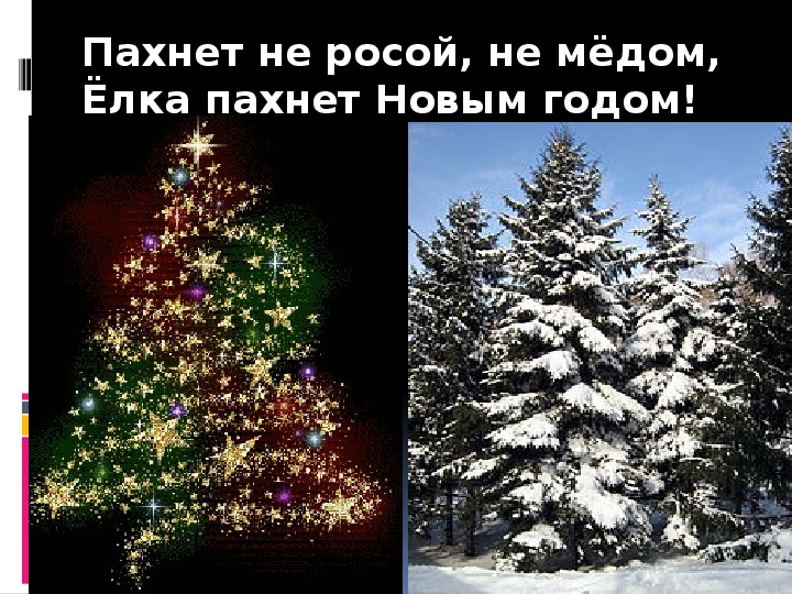 Презентация "Пахнет не росой, не мёдом, Ёлка пахнет Новым годом!"