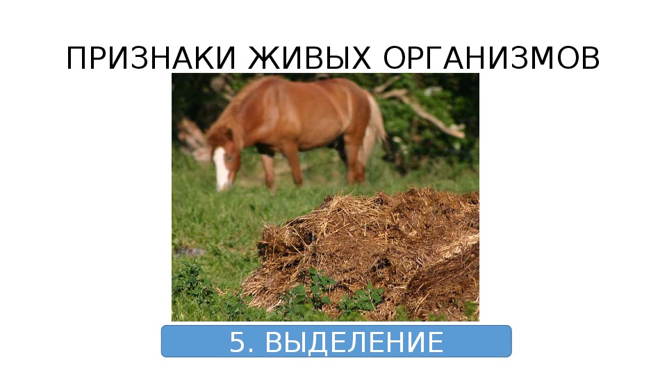 Выделение организмов