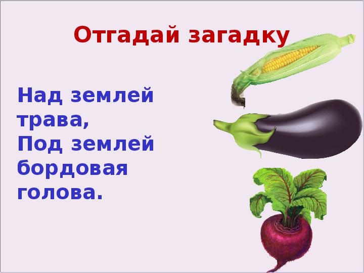 Загадки овощи 1 класс. Загадки по овощи. Загадки про овощи и фрукты. Загадки про овощи для детей. Загадки об овощах и фруктах для детей 5-6 лет.