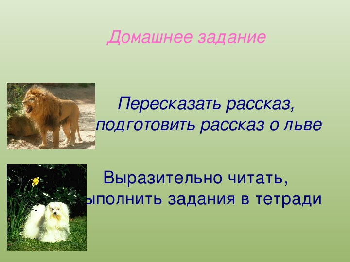 Конспект лев и собачка. Лев и собачка толстой 3 класс. 3 Класс литературное чтение л. толстой Лев и собачка. Лев и собачка Толстого 3 класс литературное. Л.Н.толстой ,,Лев и собачка" план 3класс.