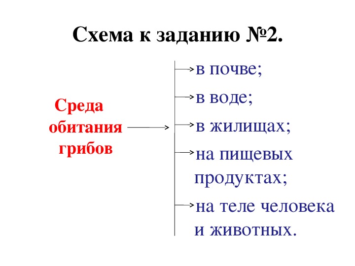 Среда обитания грибов картинки