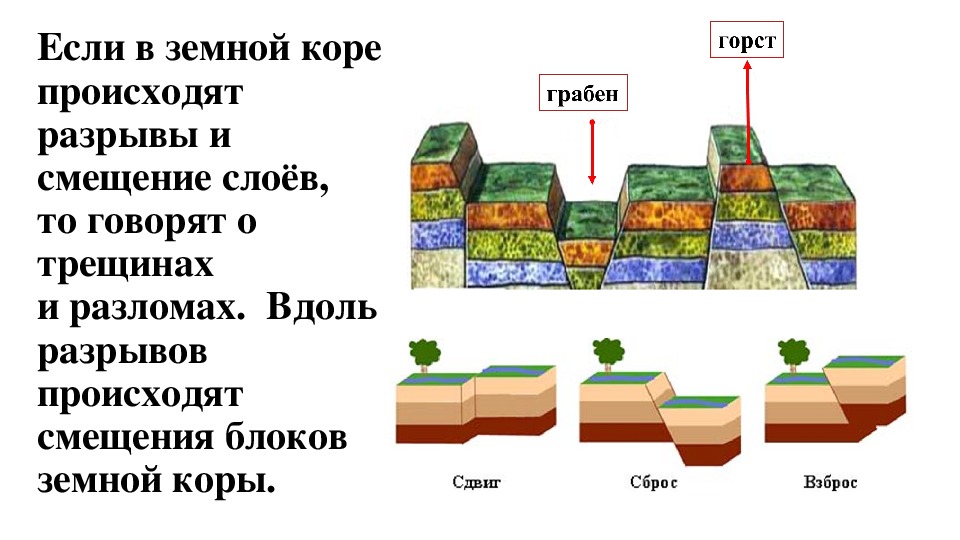 Какое смещение земной коры показано на рисунке