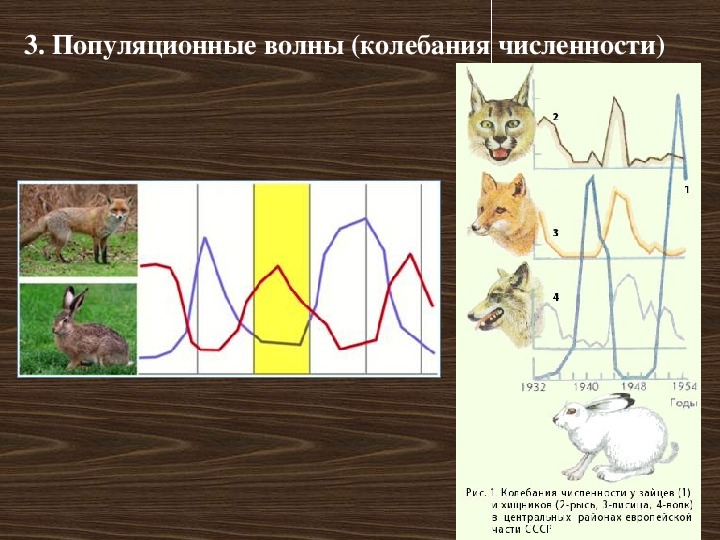 Контрольная работа по биологии популяционно видовой уровень