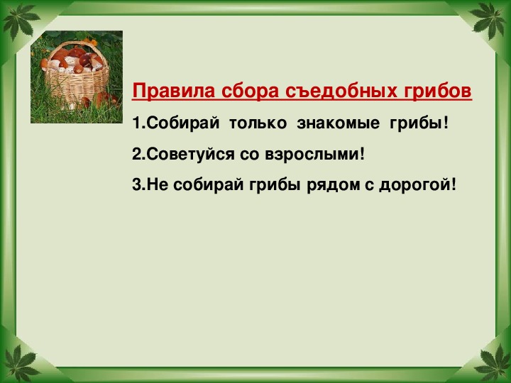 Проект подробнее о лесных опасностях 2 класс