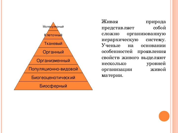 Система низкого уровня. Иерархия уровней живой материи. Иерархические уровни организации живого.