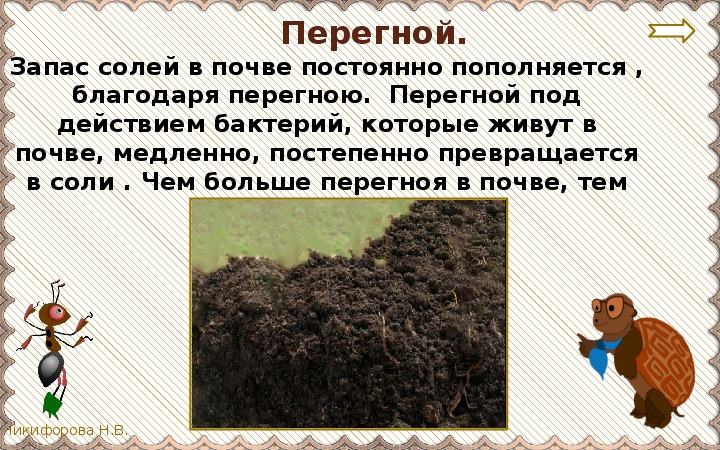 Перегной гумус образуется из. Почва презентация. Перегной в почве. Что такое почва 3 класс. Перегной для дошкольников.