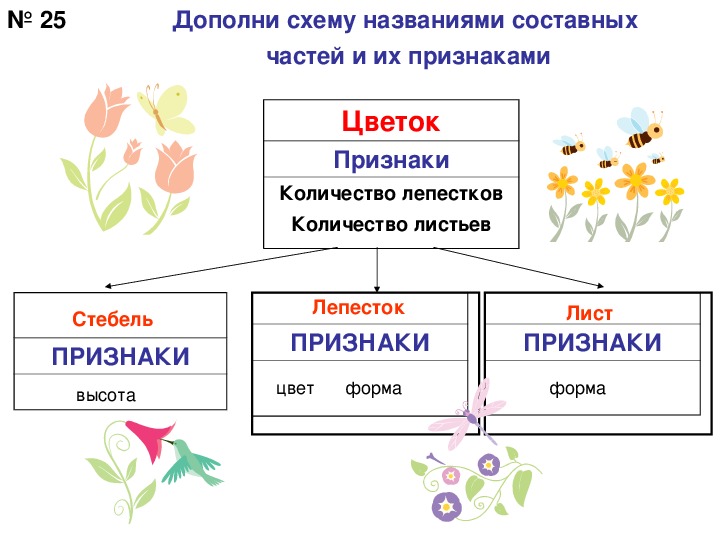 Дополните схему. Дополни схему. Дополни схему названиями. Дополнил схему названиями составных частей и их признаками. Дополни схему растения.