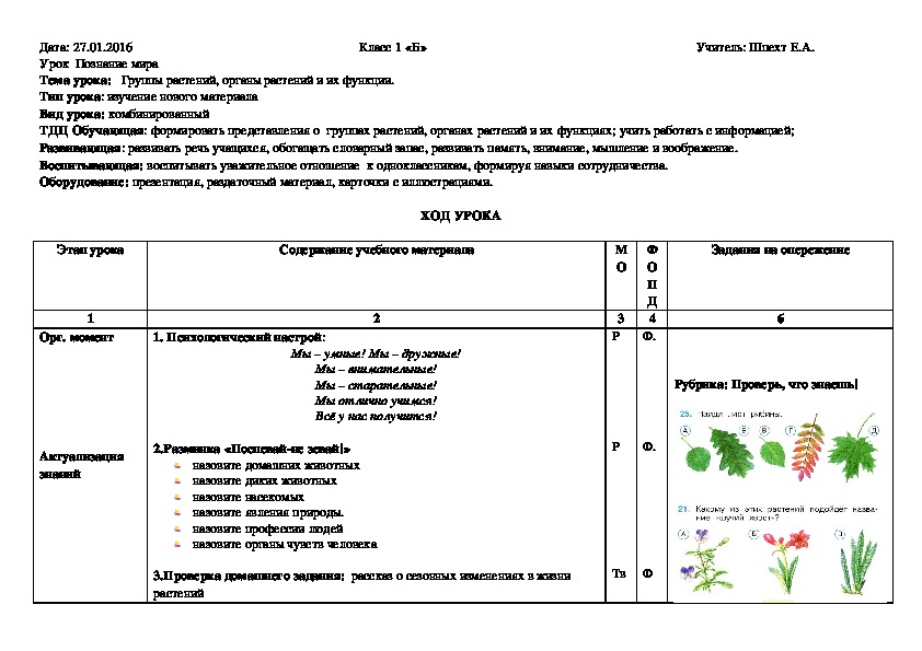 Конспект урока познание мира по теме "Группы растений, органы растений и их функции" (познание мира, 1 класс))